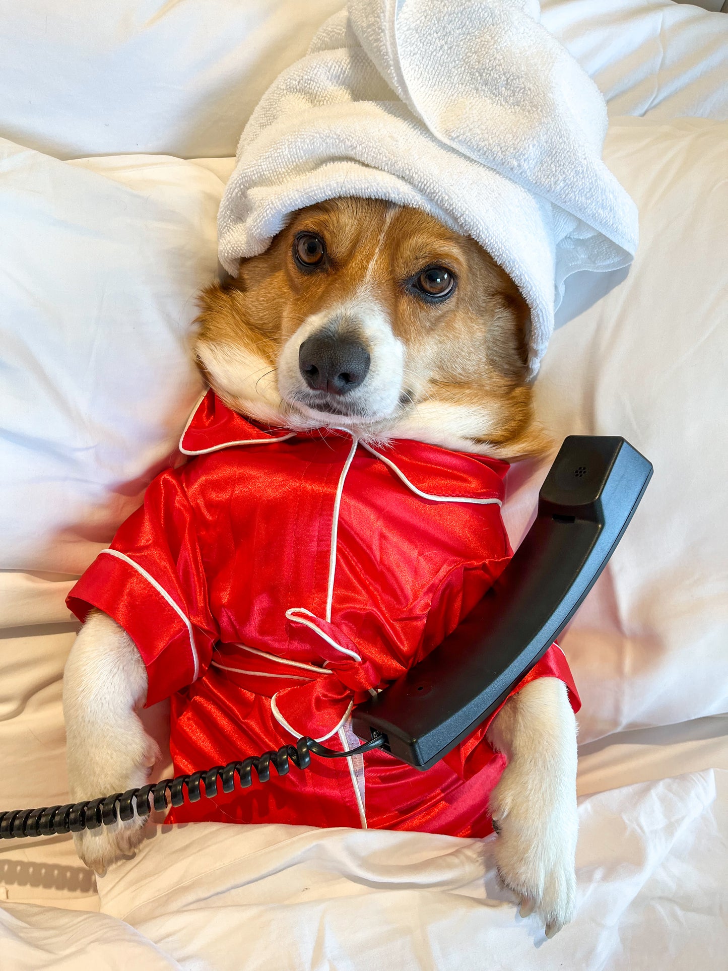 Red Pet Pajamas
