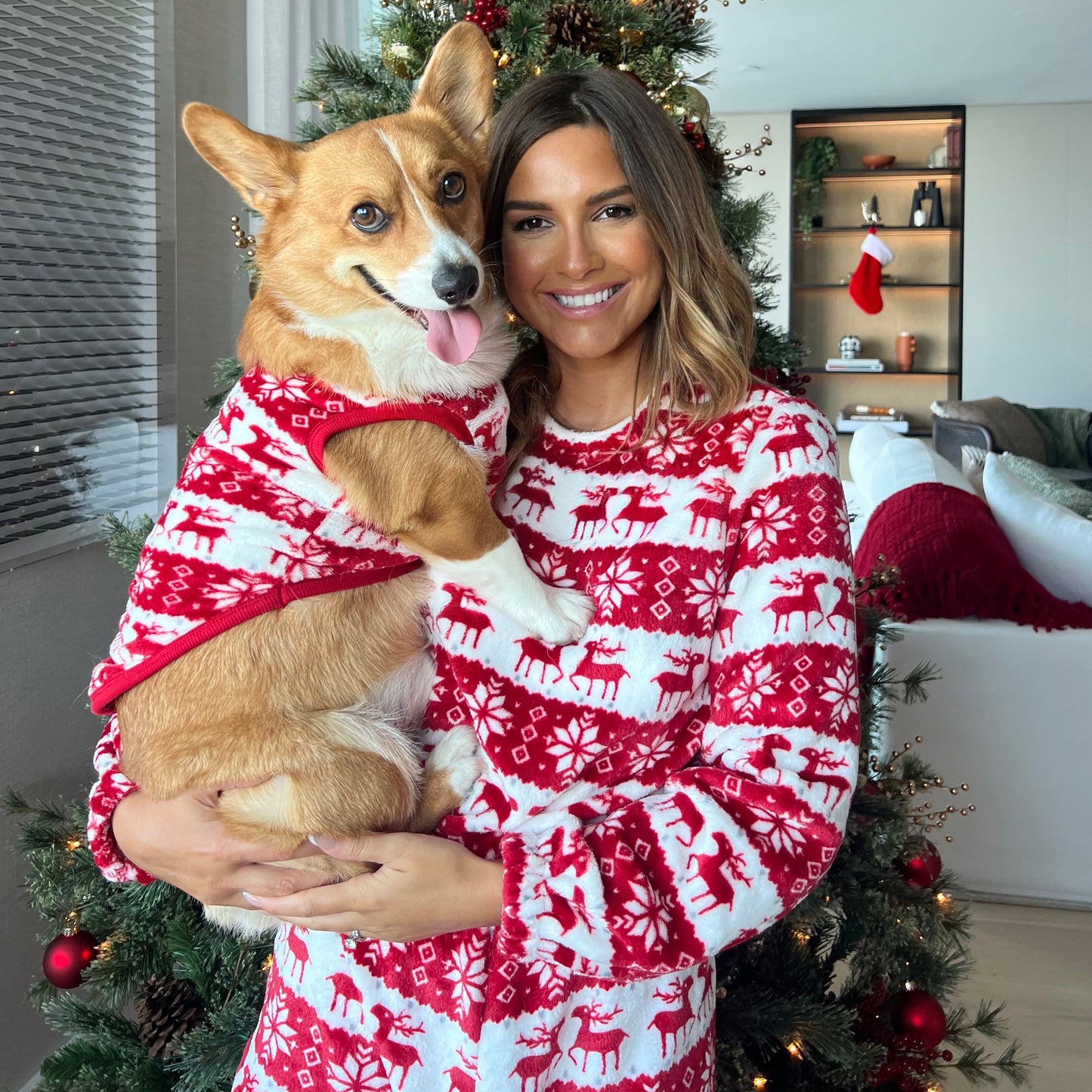 Christmas Dog Pajamas