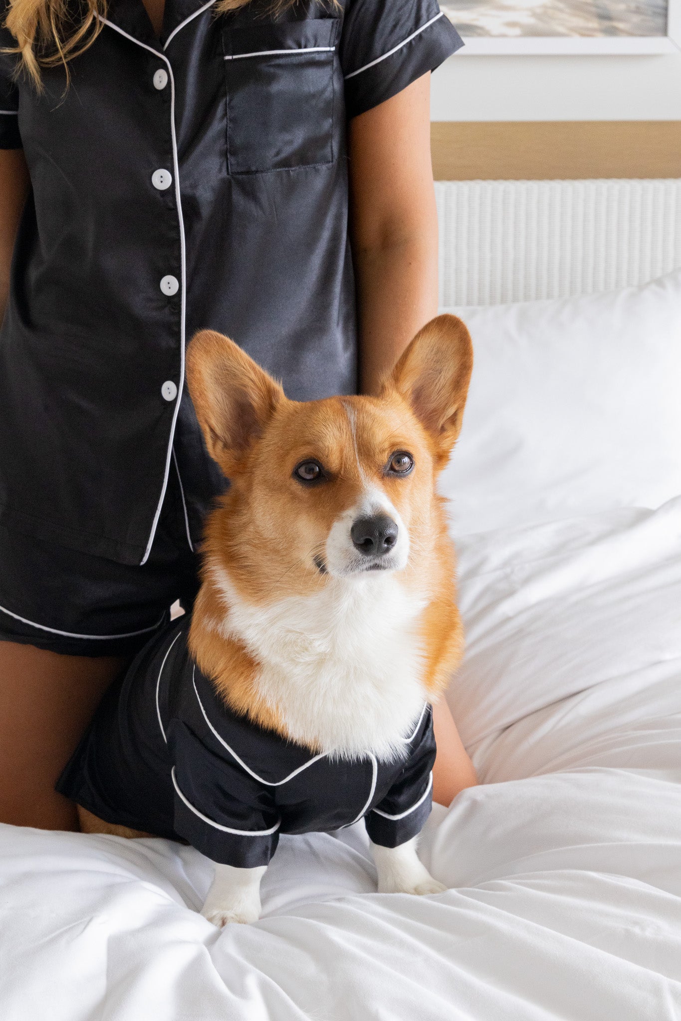 Black Pet Pajamas