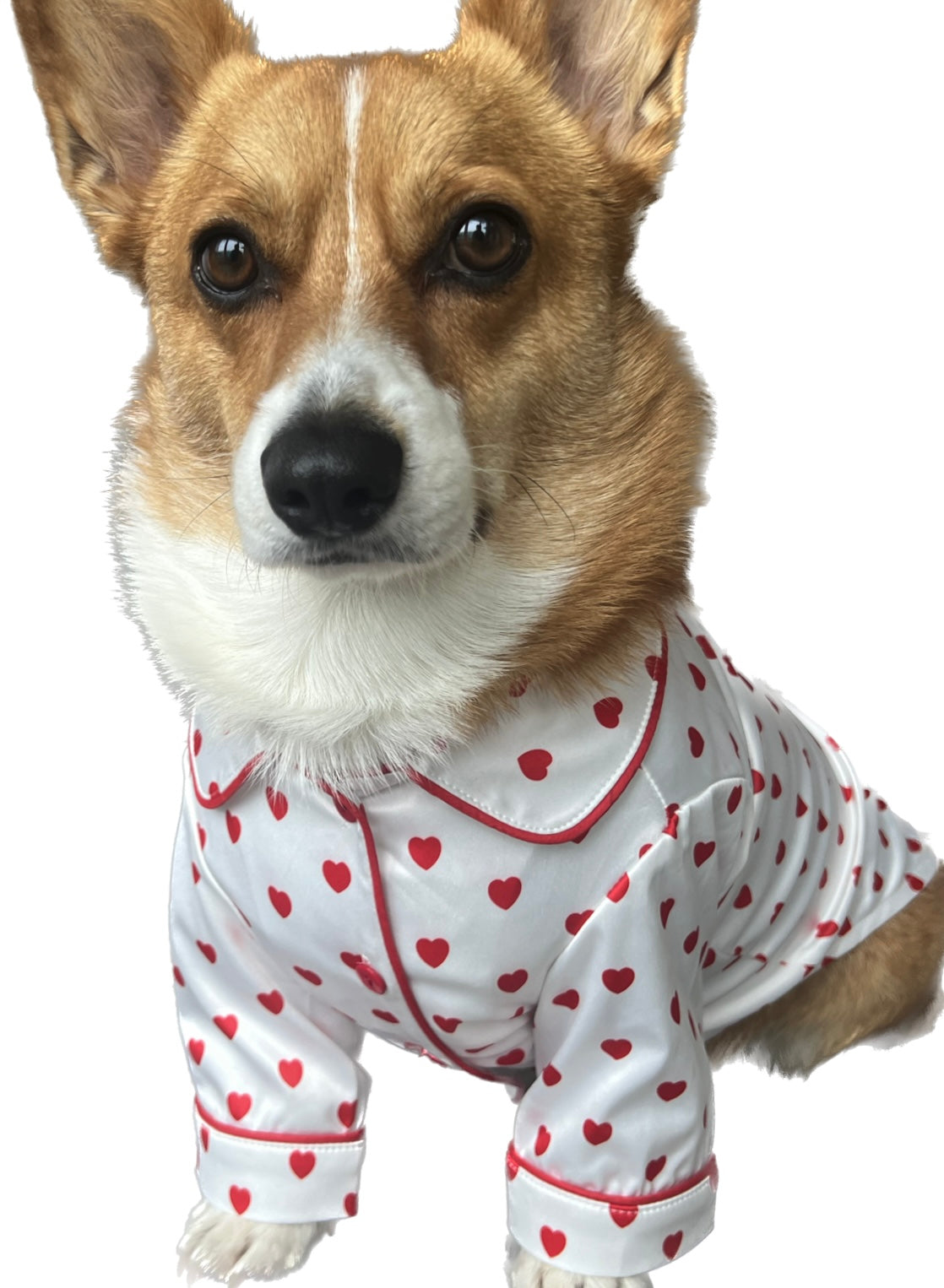 Love Pet Pajamas